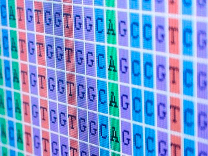 Код жизни: прочесть не значит понять