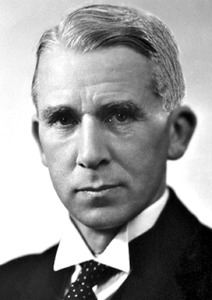 Искусственная аскорбинка