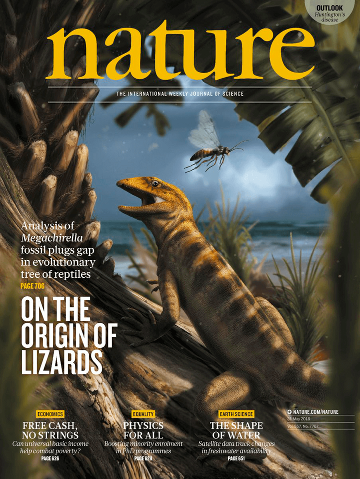 SciNat за июнь 2018 #1: электрическая чувствительность скатов и акул,  отбор поведения у ящериц и искусственная система для создания многоклеточности