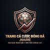 Trang Cá Cược Bóng Đá