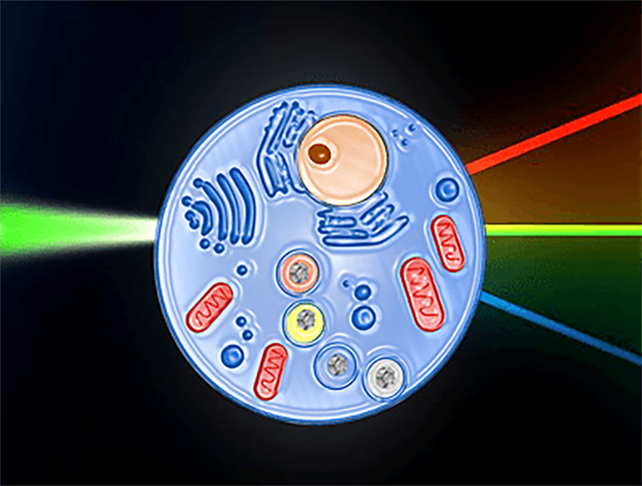Спектроскопия КР: новые возможности старого метода