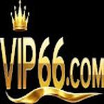 VIP66