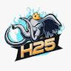 h25
