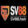SV88