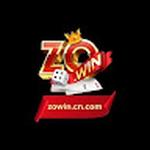 ZOWIN CN COM
