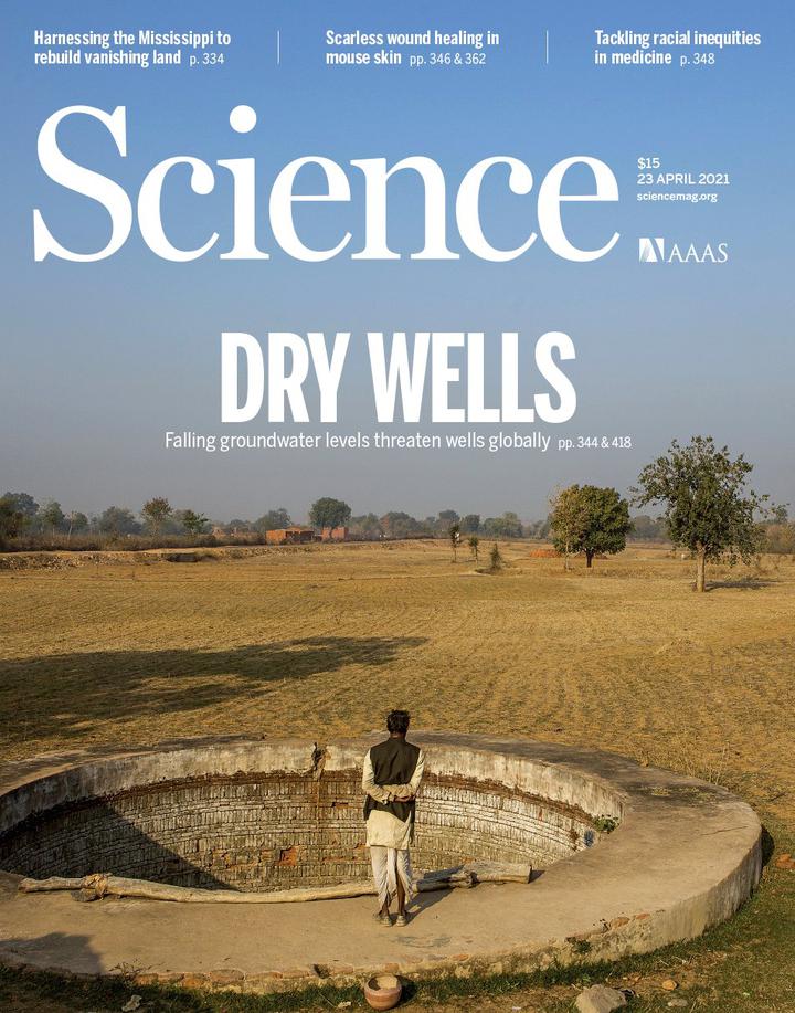 SciNat за апрель 2021 #4: шрамы долой, категорийная память и осознанность растений