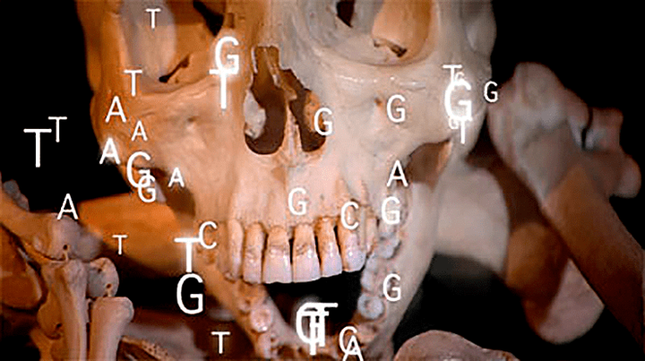Мамонты, кости и лекарственная устойчивость: новые технологии позволяют изучать эволюцию возбудителей инфекционных заболеваний