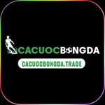 Cacuocbongda trade