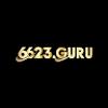 6623 guru