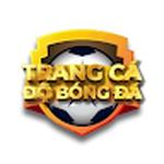 Trang Cá Cược Bóng Đá