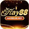HAY88 uk net