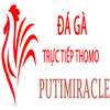 Đá Gà Trực Tiếp Thomo