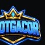 iindoslot gacor