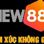 New88 Solar