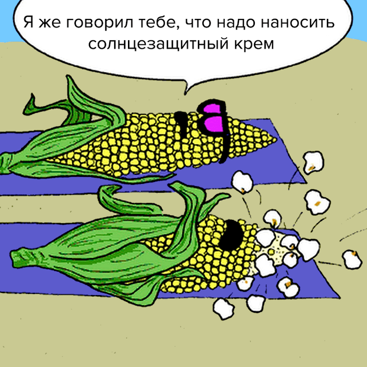 О том, как получали и изучали фиолетовый попкорн