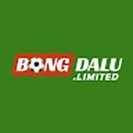 Bongdalu
