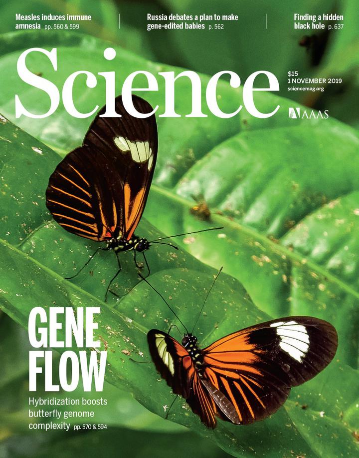 SciNat за ноябрь 2019 #1: бактерии-защитники растений, древнейшие современные люди из Южной Африки и сонные волны спинномозговой жидкости