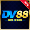 dv88uk com