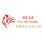 Đá Gà Trực Tiếp Thomo