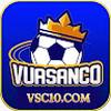 Vsc10 com