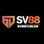 sv88viblog@gmail.com