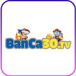 Banca30 tv