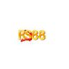 RS88 tech