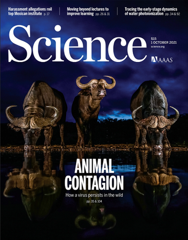 SciNat за октябрь 2021 #1: новый способ преодоления антибиотикорезистентности, успехи генной терапии и устойчивое сохранение вирусов в популяции