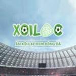 Xoilac Z Trực Tiếp Bóng Đá
