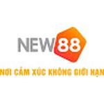 Nhà cái New88