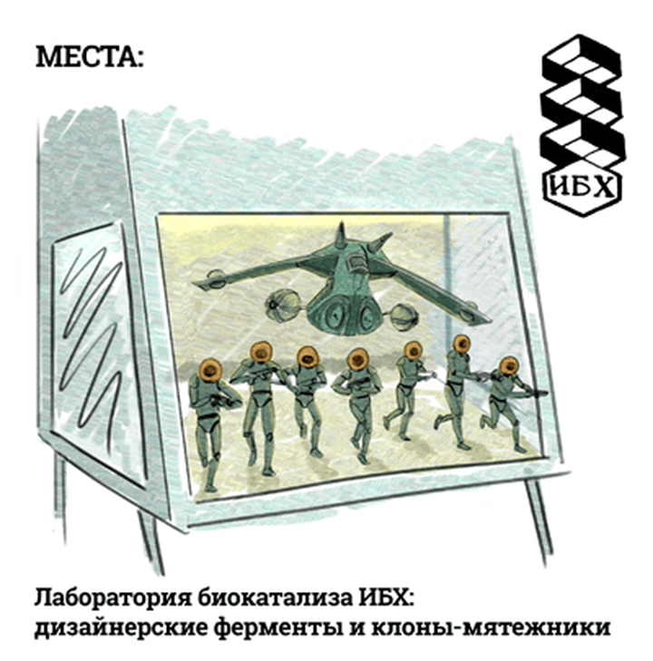 Лаборатория биокатализа ИБХ: дизайнерские ферменты и клоны-мятежники