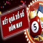 Soicau247in Net