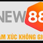 New88 Cco