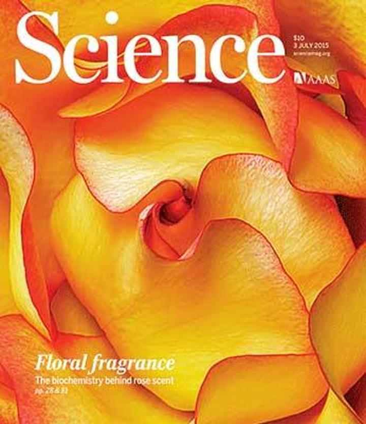 SciNat за июль 2015 #1: спектрометр из смартфона, глаза микробов и химия запаха роз