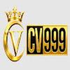 cv999 Allen