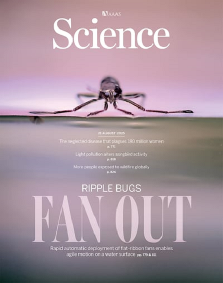 SciNat за август 2025 #4: тутовый шелкопряд, тучные клетки охраняют проход в мозг «для своих», антифаговый комплекс бактерий активируется диссоциацией, рак действует на нервы и загадка онкогенного «бутылочного горлышка»