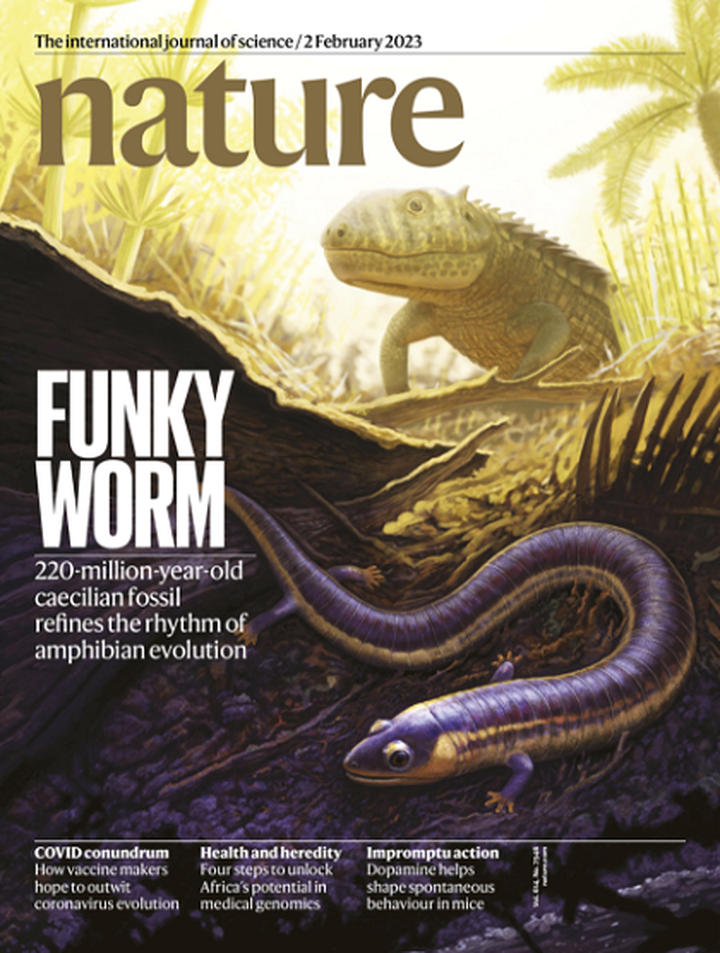 SciNat за февраль 2023 #1: предок червяг, циркадные ритмы и египетские мумии