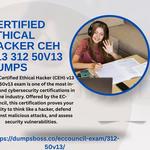 certifiedethical hacker