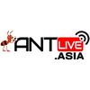 Antlive