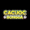 Cá Cược Bóng Đá