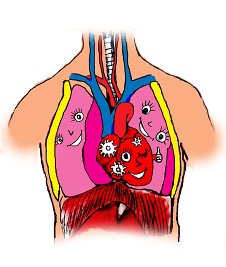 Как вылечить сердце? Достижения современной науки