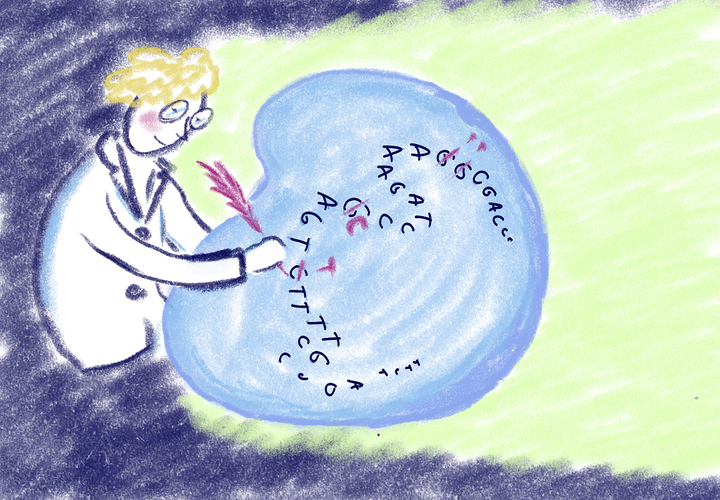 Короче говоря: сокращение генетического кода бактерии