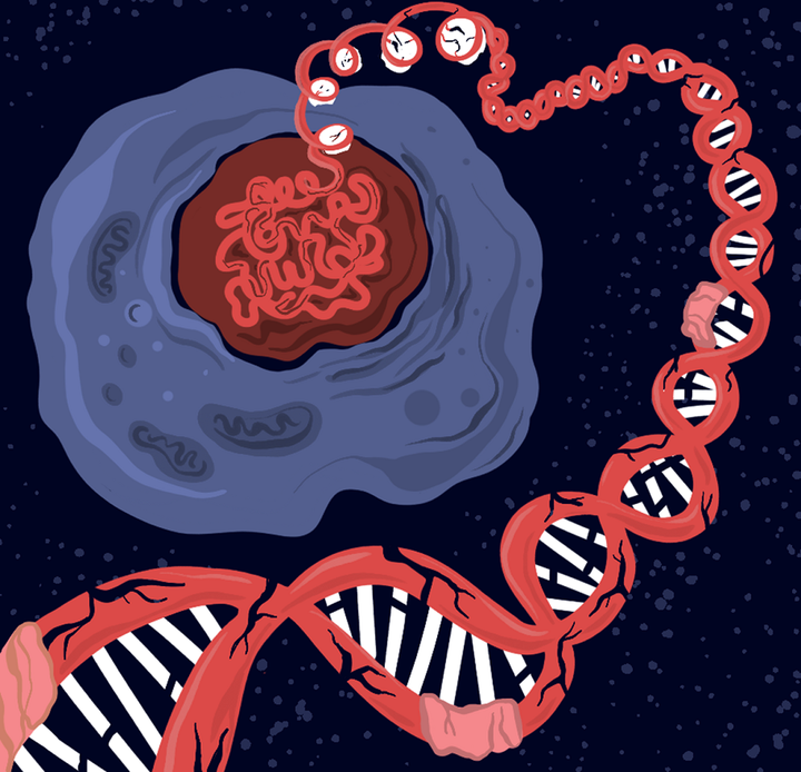 Происхождение рака: генетика и эпигенетика