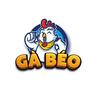 BLV Gà Béo