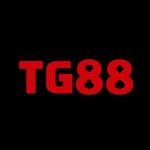 tg88 8zcom