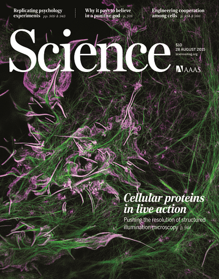 SciNat за август 2015 #5: взаимозависимая сеть из бактерий, новые возможности SIM-микроскопии, вездесущие грибы-симбионты