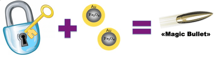 Наномеханика для адресной доставки лекарств – насколько это реально?
