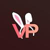 vicepleasure