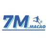 Bóng Đá Số – Theo Dõi Tỷ Số Nhanh 7m-macao