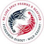 Bc Live Spot Prawns